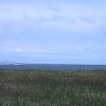 images/Schweden/Schweden 2009/IMG_4543.jpg